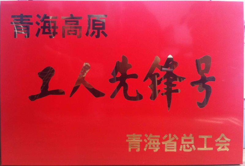 青海高原&ldquo;工人先鋒號(hào)&rdquo;